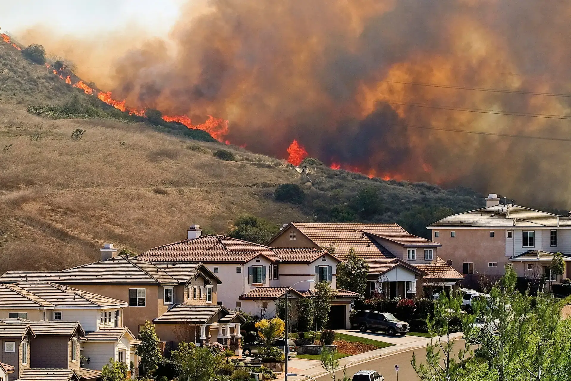 Anthony - Wildfire Mitigation Expert